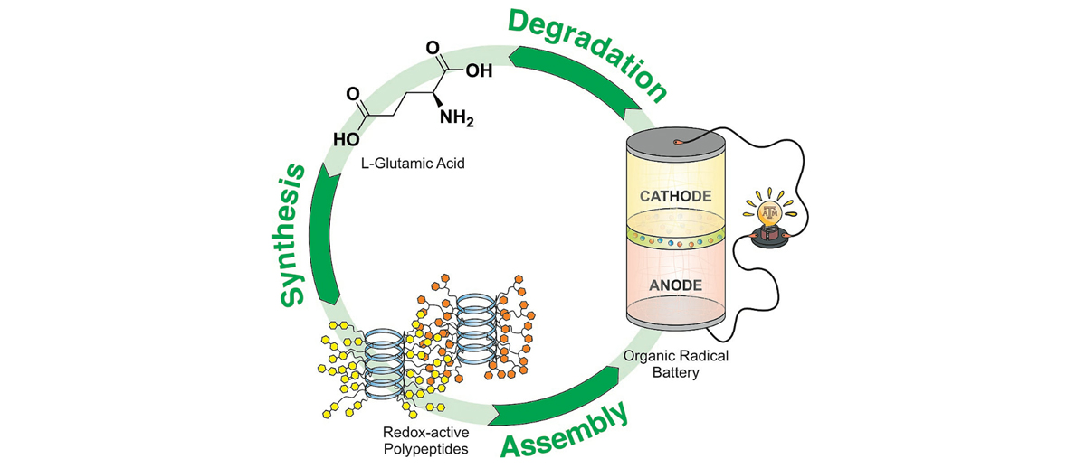 Organic Batteries