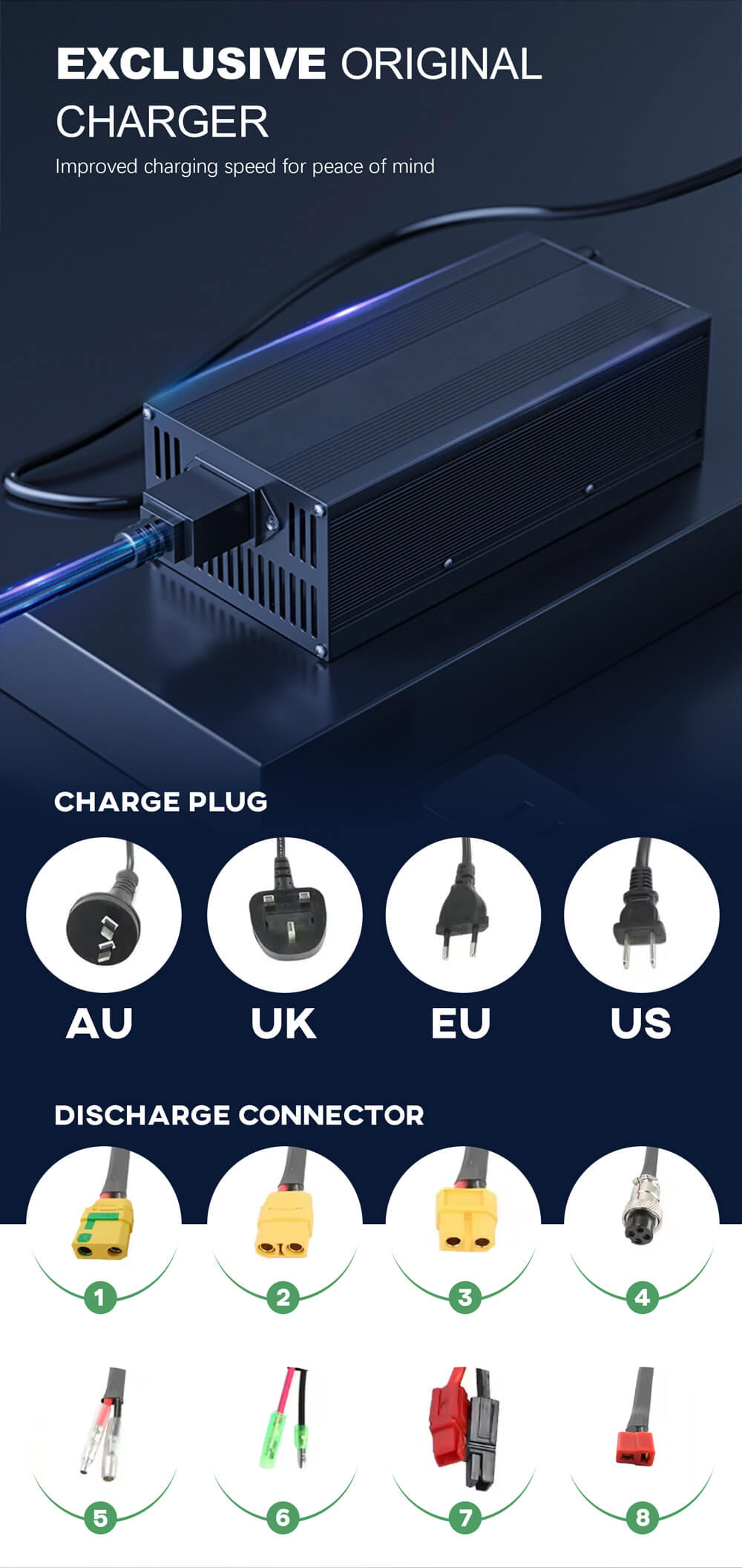 lfp battery ev