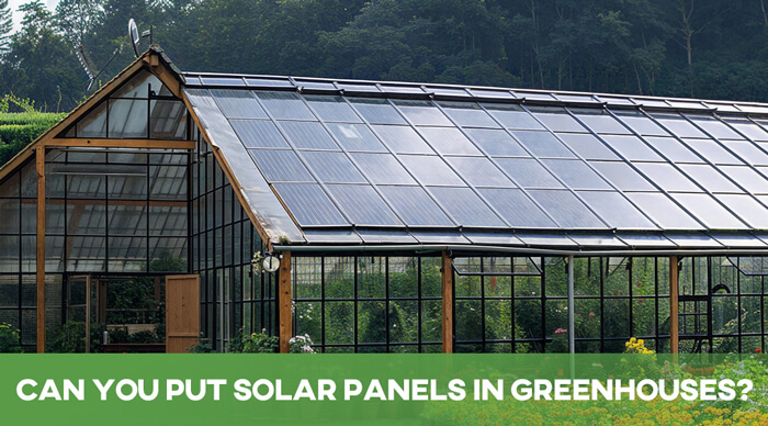 Can You Put Solar Panels in Greenhouses?