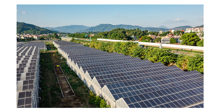 can you put solar panels in greenhouses​