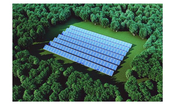 does forest produce enough sunlight for solar panels_