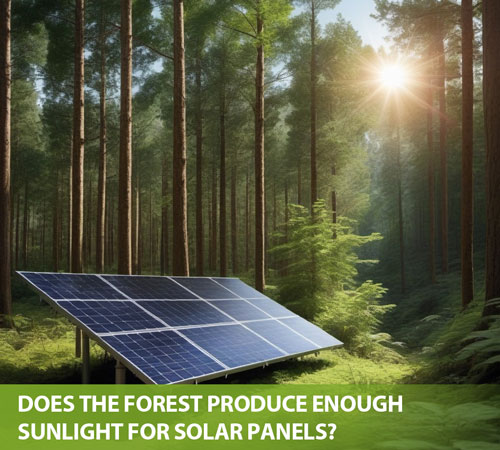 Does the Forest Produce Enough Sunlight for Solar Panels?